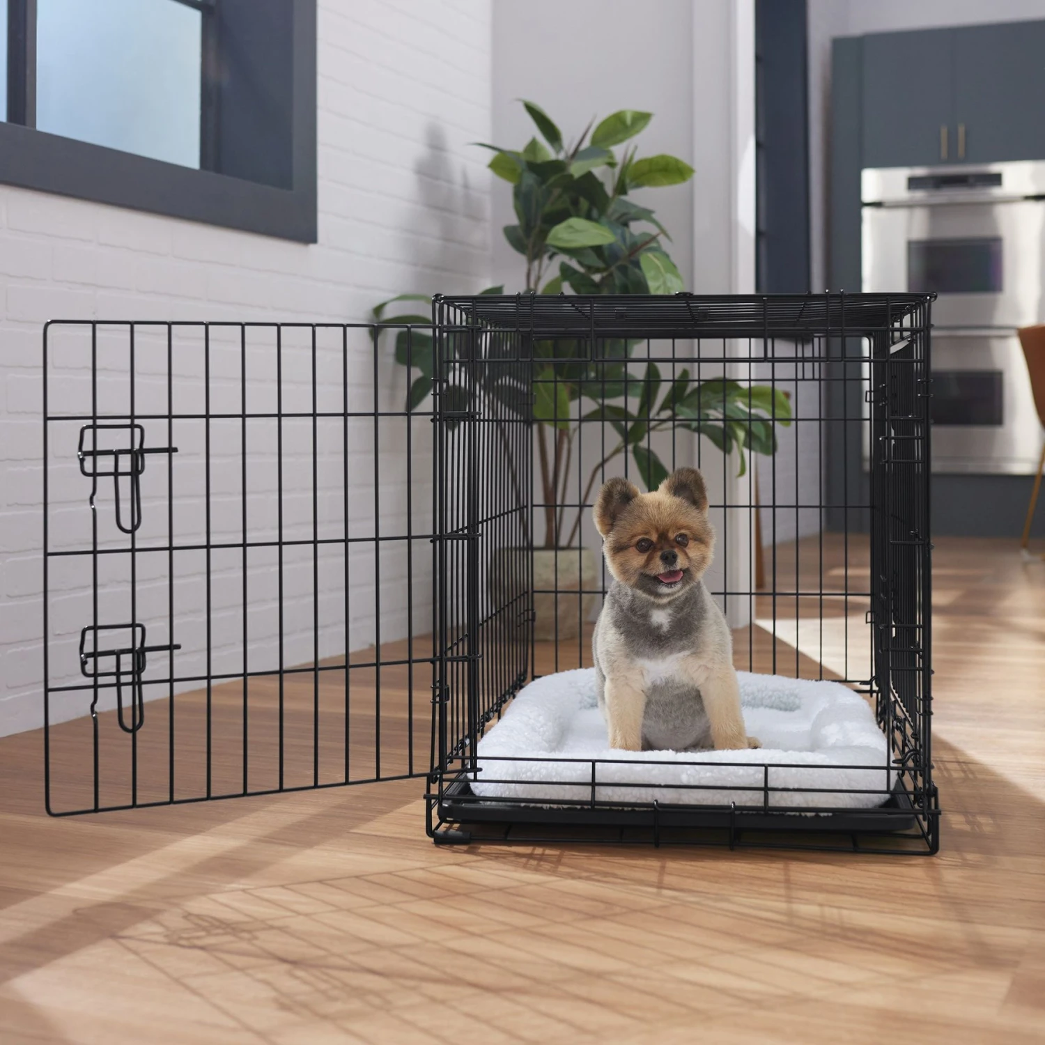 Frisco Heavy Duty Fold & Carry Double Door Collapsible Wire Dog Crate 1 Frisco Heavy Duty Fold & Carry Double Door Collapsible Wire Dog Crate