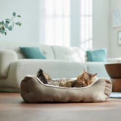 Frisco Rectangular Bolster Cat & Dog Bed -Paws Joy Outlet Store 113275 PT2. AC SS1800 V1657655271