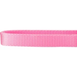 Frisco Solid Nylon Slip-On Martingale Dog Collar 8 Frisco Solid Nylon Slip-On Martingale Dog Collar -Paws Joy Outlet Store 139181 PT3. AC SS1800 V1620069443