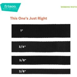 Frisco Solid Nylon Slip-On Martingale Dog Collar 9 Frisco Solid Nylon Slip-On Martingale Dog Collar -Paws Joy Outlet Store 139181 PT6. AC SS1800 V1628869272