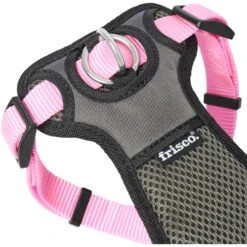 Frisco Padded Nylon No Pull Dog Harness -Paws Joy Outlet Store 140004 PT3. AC SS1800 V1701798818