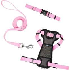 Frisco Padded Nylon No Pull Dog Harness -Paws Joy Outlet Store 140004 PT4. AC SS1800 V1701798786