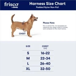 Frisco Padded Nylon No Pull Dog Harness -Paws Joy Outlet Store 140004 PT7. AC SS1800 V1701798816