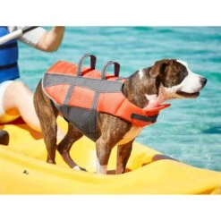 Frisco Ripstop Dog Life Jacket -Paws Joy Outlet Store 140919 PT7. AC SS1800 V1631051825