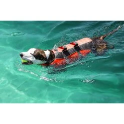 Frisco Ripstop Dog Life Jacket -Paws Joy Outlet Store 140919 PT8. AC SS1800 V1540476454