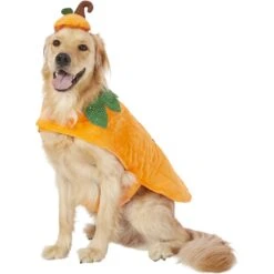 Frisco Pumpkin Dog & Cat Costume -Paws Joy Outlet Store 144446 PT2. AC SS1800 V1567174700