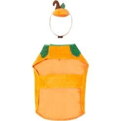 Frisco Pumpkin Dog & Cat Costume -Paws Joy Outlet Store 144446 PT4. AC SS1800 V1567176587