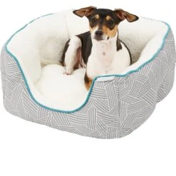 Frisco Square Deep Bolster Cat & Dog Bed -Paws Joy Outlet Store 144829 PT4. AC SS1800 V1578442895