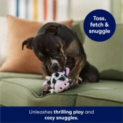 Frisco Cow Plush Squeaky Dog Toy 6 Frisco Cow Plush Squeaky Dog Toy -Paws Joy Outlet Store 147003 PT3. AC SS1800 V1686079871