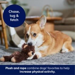 Frisco Bear Plush With Inside Rope Squeaky Dog Toy -Paws Joy Outlet Store 147061 PT4. AC SS1800 V1695659155