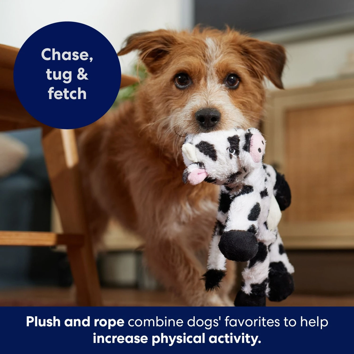 Frisco Cow Plush With Inside Rope Squeaky Dog Toy 5 Frisco Cow Plush With Inside Rope Squeaky Dog Toy - Image 5