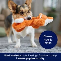 Frisco Fox Plush With Inside Rope Squeaky Dog Toy -Paws Joy Outlet Store 147065 PT4. AC SS1800 V1695671059