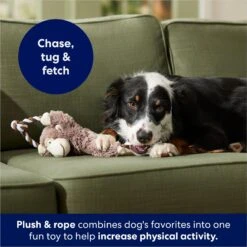 Frisco Monkey Plush With Rope Squeaky Dog Toy -Paws Joy Outlet Store 147067 PT4. AC SS1800 V1686079871