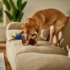 Frisco Duck Flat Plush Squeaky Dog Toy -Paws Joy Outlet Store 147069 PT3. AC SS1800 V1674158058