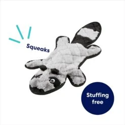 Frisco Raccoon Stuffing-Free Flat Plush Squeaky Dog Toy -Paws Joy Outlet Store 147071 PT2. AC SS1800 V1692826085