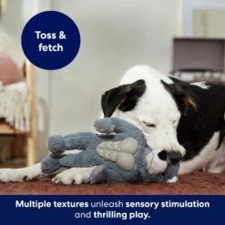 Frisco Wolf Muscle Plush Squeaky Dog Toy -Paws Joy Outlet Store 147082 PT5. AC SS1800 V1691776574