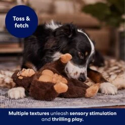 Frisco Gorilla Muscle Plush Squeaky Dog Toy -Paws Joy Outlet Store 147084 PT5. AC SS1800 V1694182068