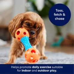 Frisco Dumbbell TPR Fetch Dog Toy -Paws Joy Outlet Store 147108 PT3. AC SS1800 V1695241969