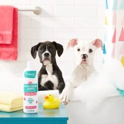 Frisco Hypoallergenic Puppy & Kitten Shampoo, Unscented -Paws Joy Outlet Store 152571 PT2. AC SS1800 V1551302781