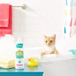 Frisco Oatmeal Conditioner With Aloe For Dogs & Cats, Almond Scent 7 Frisco Oatmeal Conditioner With Aloe For Dogs & Cats, Almond Scent -Paws Joy Outlet Store 152579 PT3. AC SS1800 V1551302925