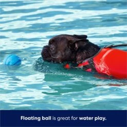 Frisco Foam Rubber Floating Fetch Ball No Squeak Dog Toy -Paws Joy Outlet Store 152798 PT3. AC SS1800 V1686579688