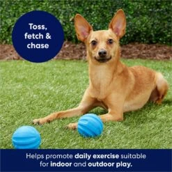 Frisco Foam Rubber Floating Fetch Ball No Squeak Dog Toy -Paws Joy Outlet Store 152798 PT4. AC SS1800 V1686579140