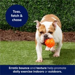 Frisco Fetch Squeaky TPR Ball Dog Toy -Paws Joy Outlet Store 152801 PT4. AC SS1800 V1686580091