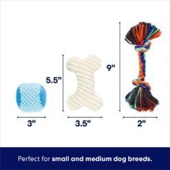 Frisco Chewy Box Hide & Seek Puzzle Plush Squeaky Dog Toy -Paws Joy Outlet Store 152808 PT2. AC SS1800 V1695659219