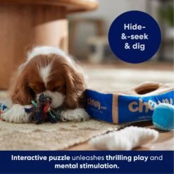 Frisco Chewy Box Hide & Seek Puzzle Plush Squeaky Dog Toy -Paws Joy Outlet Store 152808 PT5. AC SS1800 V1695670752