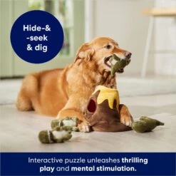 Frisco Volcano Hide & Seek Puzzle Plush Squeaky Dog Toy -Paws Joy Outlet Store 152810 PT3. AC SS1800 V1686079871