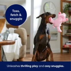 Frisco Corduroy Plush Squeaking Pig Dog Toy -Paws Joy Outlet Store 152832 PT4. AC SS1800 V1695671001