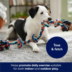 Frisco Rope With 5 Knots Dog Toy -Paws Joy Outlet Store 152836 PT2. AC SS1800 V1686579626