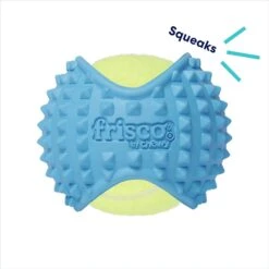 Frisco Fetch Squeaky Tennis Ball With Rubber Sleeve Dog Toy -Paws Joy Outlet Store 152844 PT2. AC SS1800 V1691776695