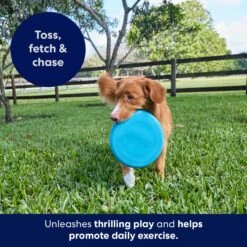 Frisco Fetch Rubber Flyer Dog Toy 6 Frisco Fetch Rubber Flyer Dog Toy -Paws Joy Outlet Store 152848 PT5. AC SS1800 V1692370079