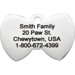 Frisco Stainless Steel Personalized Dog & Cat ID Tag, Bow Tie -Paws Joy Outlet Store 152997 PT3. AC SS1800 V1548964672