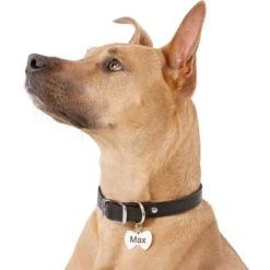 Frisco Stainless Steel Personalized Dog & Cat ID Tag, Bow Tie -Paws Joy Outlet Store 152997 PT5. AC SS1800 V1540562104