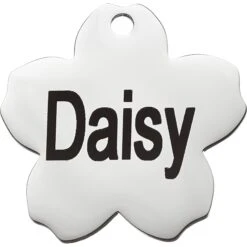 Frisco Stainless Steel Personalized Dog & Cat ID Tag, Flower -Paws Joy Outlet Store 153002 PT2. AC SS1800 V1548964685