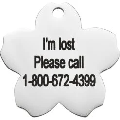 Frisco Stainless Steel Personalized Dog & Cat ID Tag, Flower -Paws Joy Outlet Store 153002 PT4. AC SS1800 V1548964707