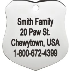 Frisco Stainless Steel Personalized Dog & Cat ID Tag, Badge -Paws Joy Outlet Store 153009 PT3. AC SS1800 V1548964788