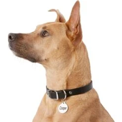 Frisco Personalized Dog & Cat Tag, Round -Paws Joy Outlet Store 153015 PT5. AC SS1800 V1540562586