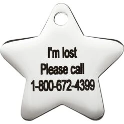 Frisco Stainless Steel Personalized Dog & Cat ID Tag, Star -Paws Joy Outlet Store 153017 PT4. AC SS1800 V1548964862