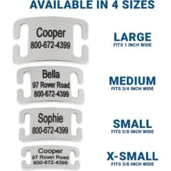 Frisco Stainless Steel Slide-On Personalized Dog & Cat Tag, Open Design -Paws Joy Outlet Store 153050 PT3. AC SS1800 V1644013293