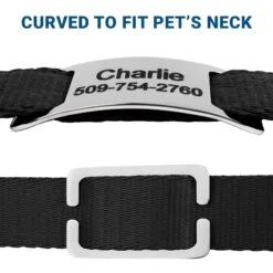 Frisco Stainless Steel Slide-On Personalized Dog & Cat Tag, Open Design -Paws Joy Outlet Store 153050 PT4. AC SS1800 V1644016599