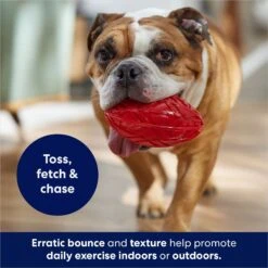 Frisco Football TPR Squeaky Dog Toy -Paws Joy Outlet Store 154412 PT3. AC SS1800 V1686578718