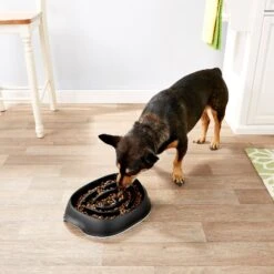 Frisco Non-Skid Slow Feeder Dog & Small Pet Bowl -Paws Joy Outlet Store 155648 PT4. AC SS1800 V1553538724