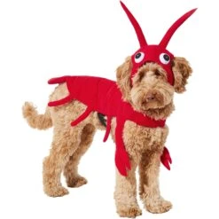 Frisco Red Lobster Dog & Cat Costume -Paws Joy Outlet Store 158723 PT2. AC SS1800 V1659023725