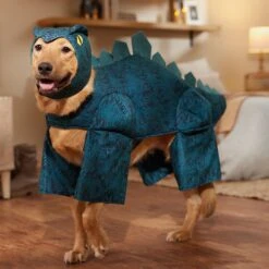 Frisco Stegosaurus Dinosaur Dog & Cat Costume -Paws Joy Outlet Store 158777 PT7. AC SS1800 V1567180627