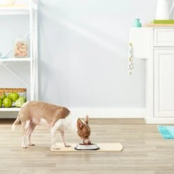 Frisco Non-Skid Stainless Steel Bowl -Paws Joy Outlet Store 159860 PT3. AC SS1800 V1570543131