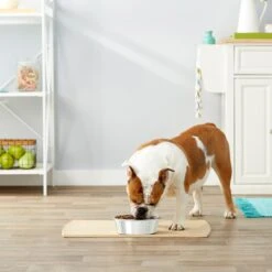 Frisco Stainless Steel Dog & Cat Bowl 6 Frisco Stainless Steel Dog & Cat Bowl -Paws Joy Outlet Store 159867 PT3. AC SS1800 V1570543097