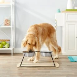 Frisco Pyramid Elevated Stainless Steel Double Diner Dog & Cat Bowl 7 Frisco Pyramid Elevated Stainless Steel Double Diner Dog & Cat Bowl -Paws Joy Outlet Store 159884 PT3. AC SS1800 V1561123346